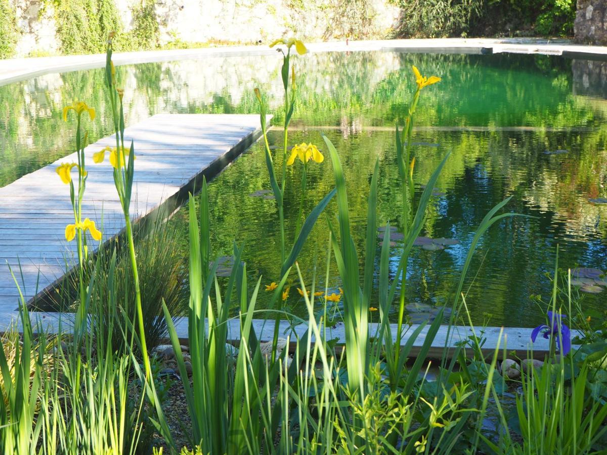 Maison Terre Les Cabanes De Fallot - Sauna Bain-Froid Piscine Naturelle L'isle-Bouzon Экстерьер фото